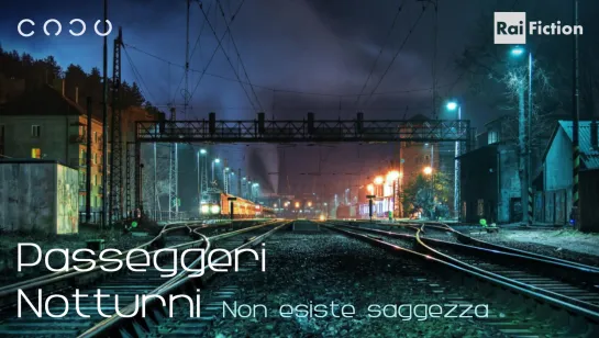 10. Non esiste saggezza