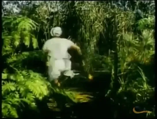 EL LIBRO DE LA SELVA (Rudyard Kipling's Jungle Book, 1942, Full Movie, Spanish, Cinetel)