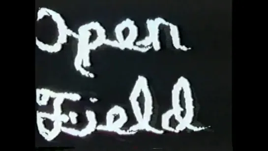 Sexual Meditation: Open Field (1972) dir. Stan Brakhage