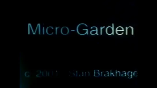 Micro-Garden (2001) dir. Stam Brakhage