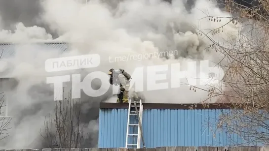 Видео от Паблик Тюмень