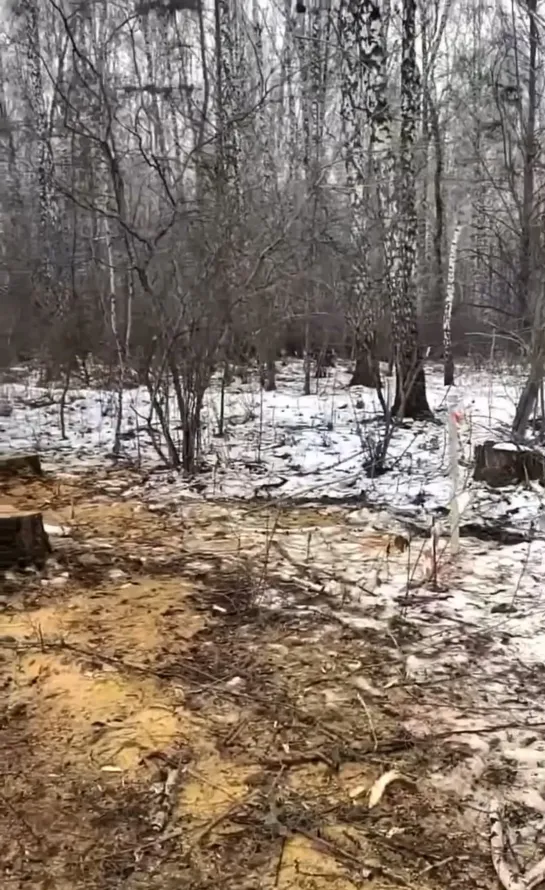 Видео от Паблик Тюмень