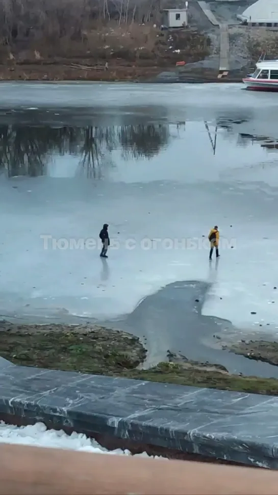 Видео от Паблик Тюмень