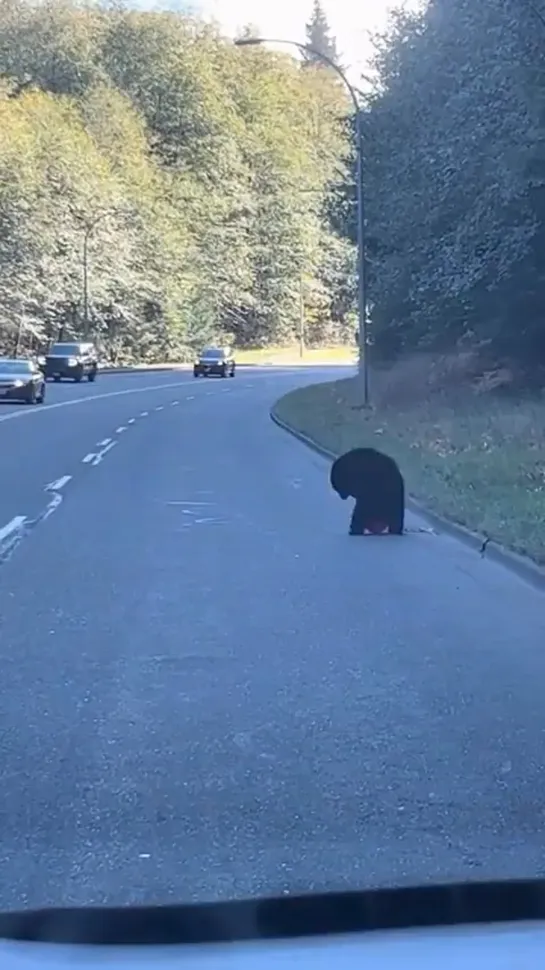 Видео от Паблик Тюмень