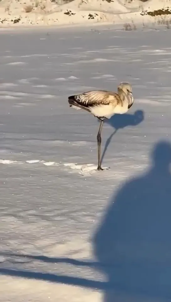 Видео от Паблик Тюмень