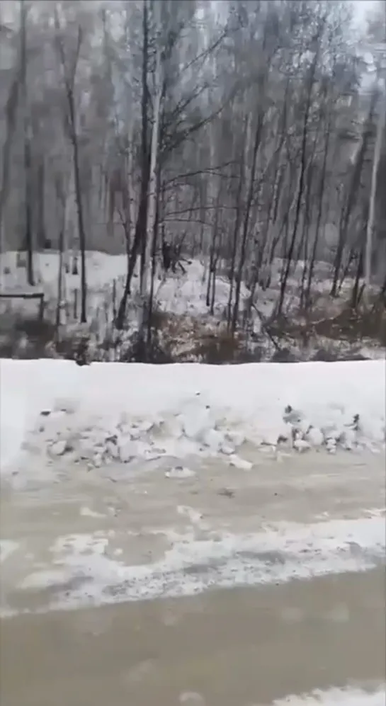 Видео от Паблик Тюмень