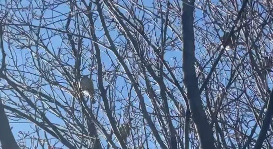 Видео от Паблик Тюмень