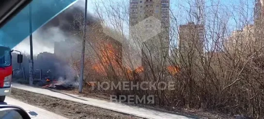 Видео от Паблик Тюмень