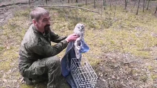 Видео от Паблик Тюмень