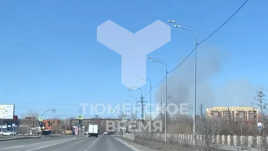 Видео от Паблик Тюмень