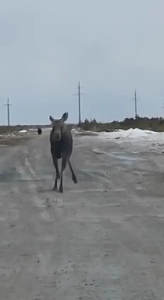 Видео от Паблик Тюмень