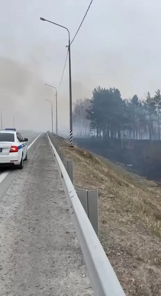 Видео от Паблик Тюмень