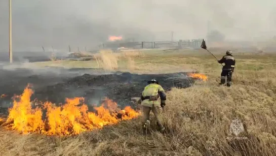 Видео от Паблик Тюмень