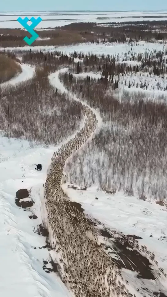 Видео от Паблик Тюмень