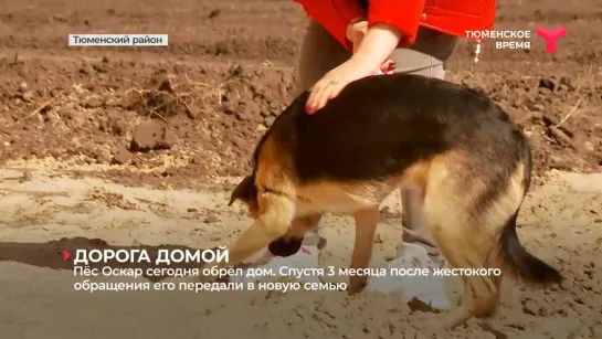 Видео от Паблик Тюмень