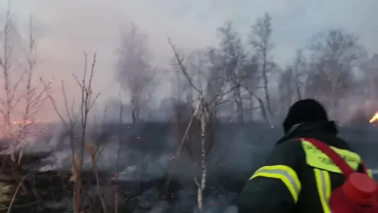 Видео от Паблик Тюмень