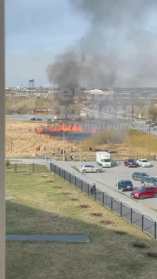 Видео от Паблик Тюмень