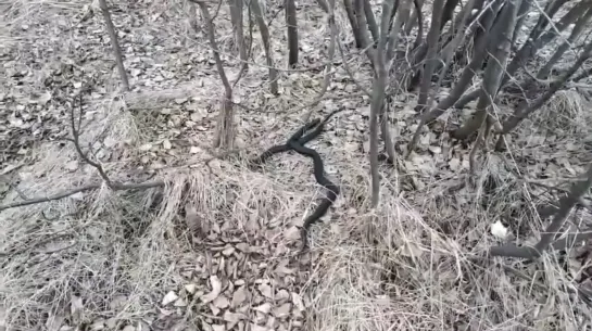 Видео от Паблик Тюмень