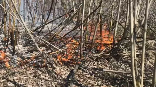 Видео от Паблик Тюмень