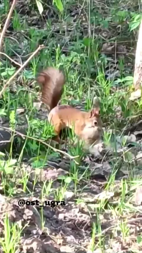 Видео от Паблик Тюмень