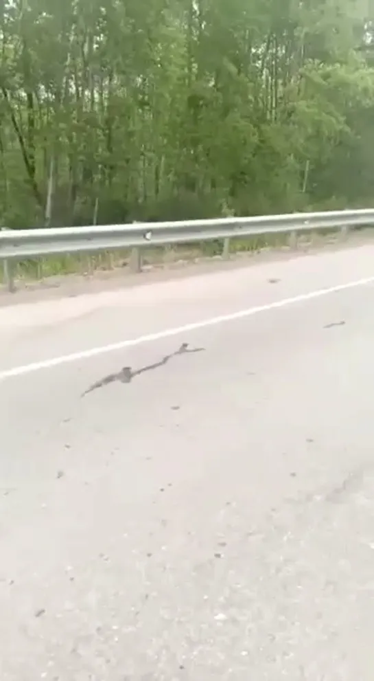 Видео от Паблик Тюмень