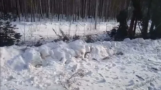 Видео от Паблик Тюмень