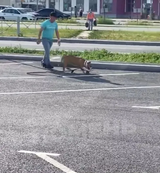 Видео от Паблик Тюмень