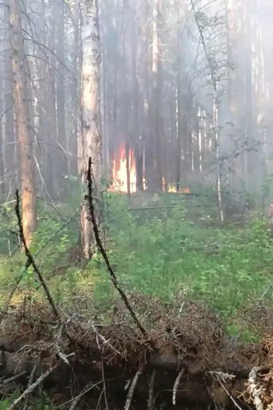 Видео от Паблик Тюмень