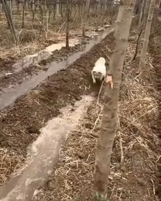 Видео от Паблик Тюмень