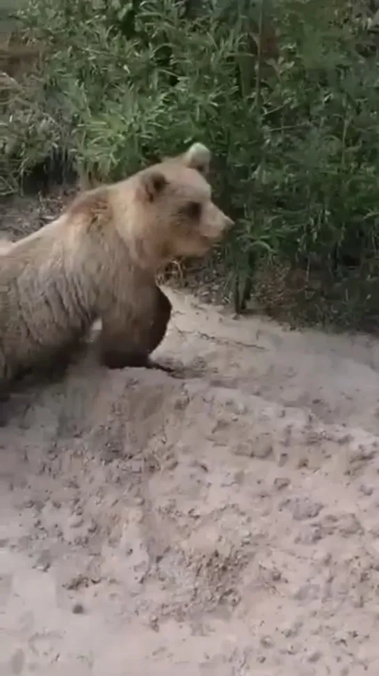 Видео от Паблик Тюмень