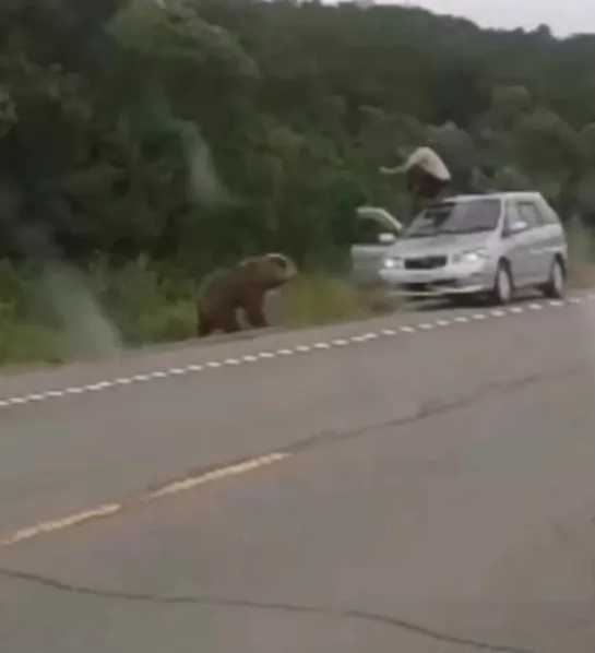 Видео от Паблик Тюмень