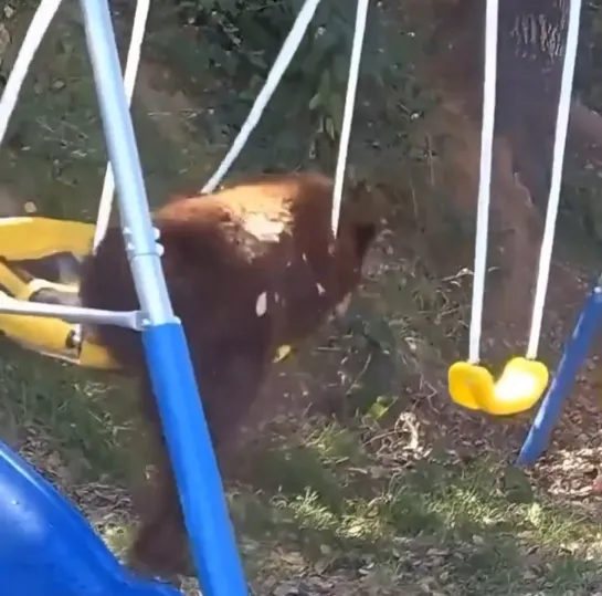 Видео от Паблик Тюмень