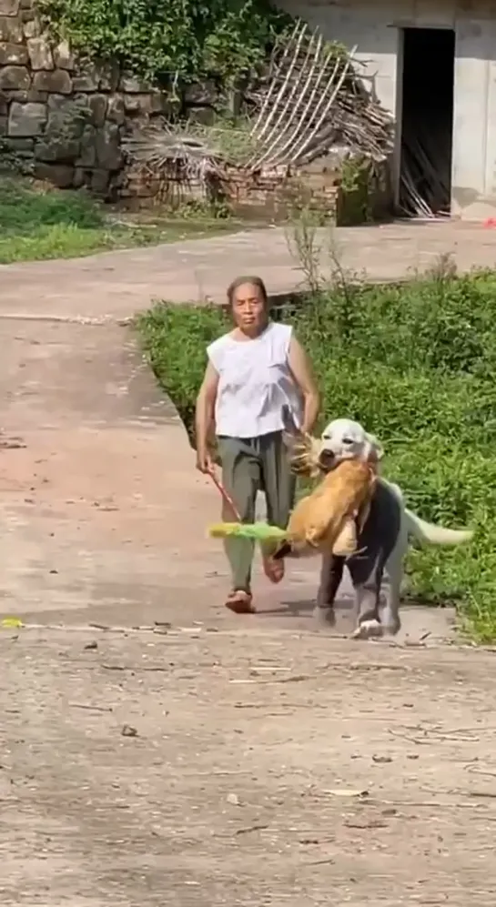 Видео от Паблик Тюмень