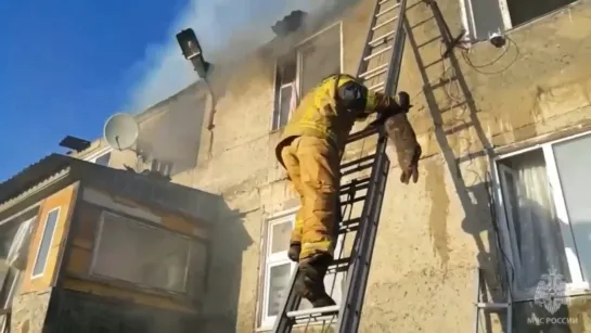 Видео от Паблик Тюмень