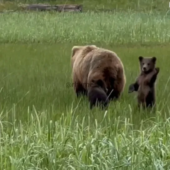 Видео от Паблик Тюмень