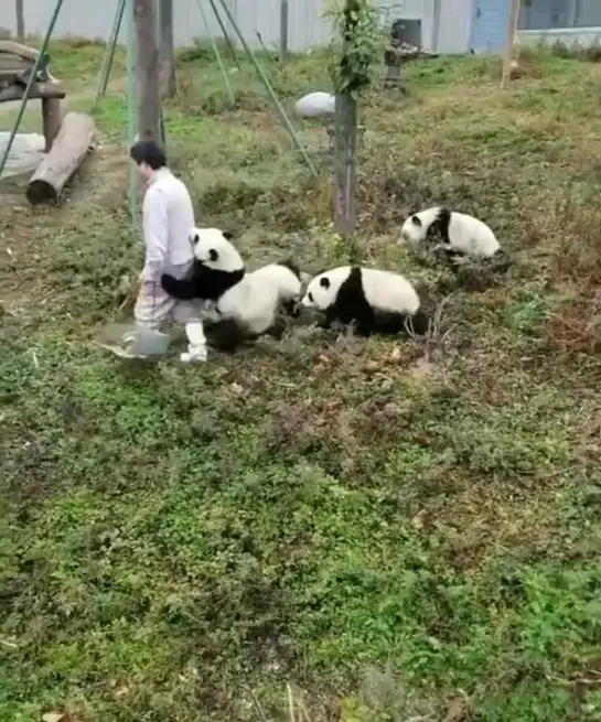 Видео от Паблик Тюмень