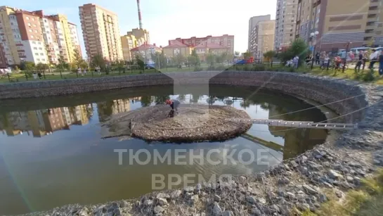 Видео от Паблик Тюмень