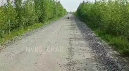 Видео от Паблик Тюмень