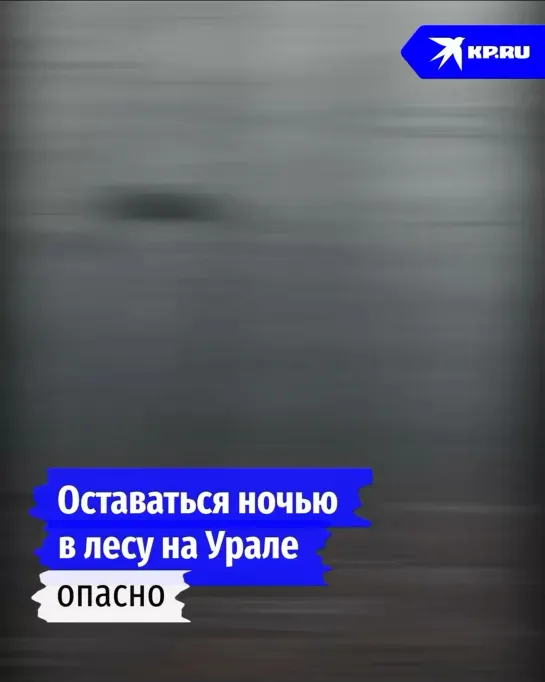 Видео от Паблик Тюмень