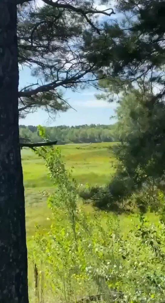 Видео от Паблик Тюмень