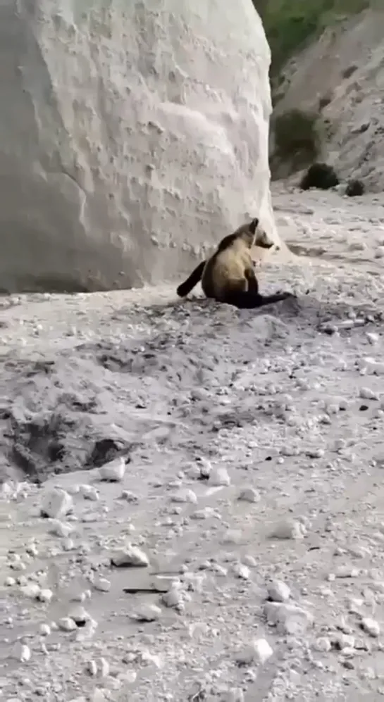 Видео от Паблик Тюмень