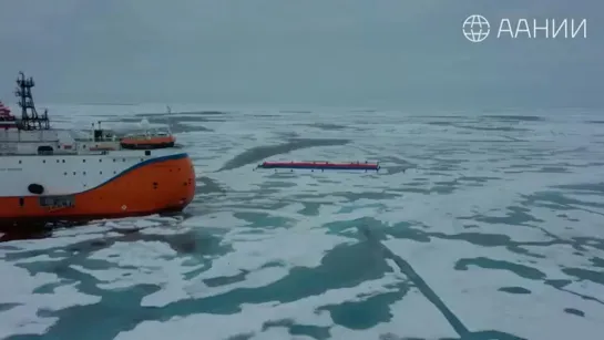 Видео от Паблик Тюмень