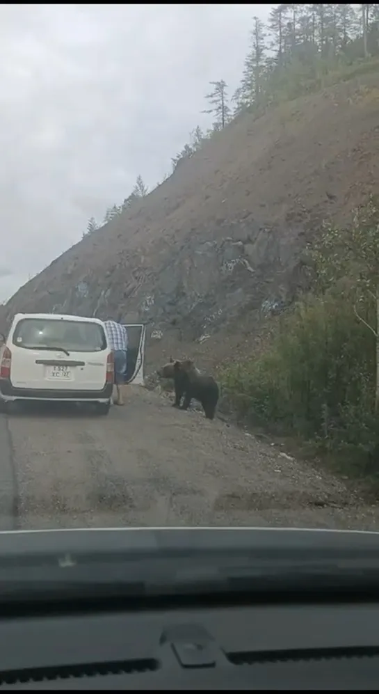 Видео от Паблик Тюмень