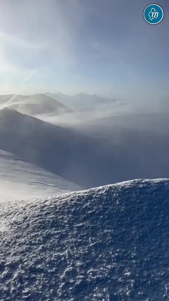 Видео от Паблик Тюмень