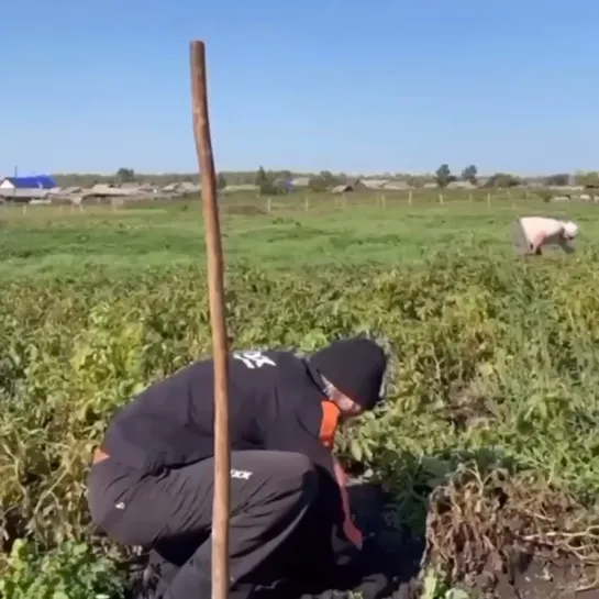 Видео от Паблик Тюмень