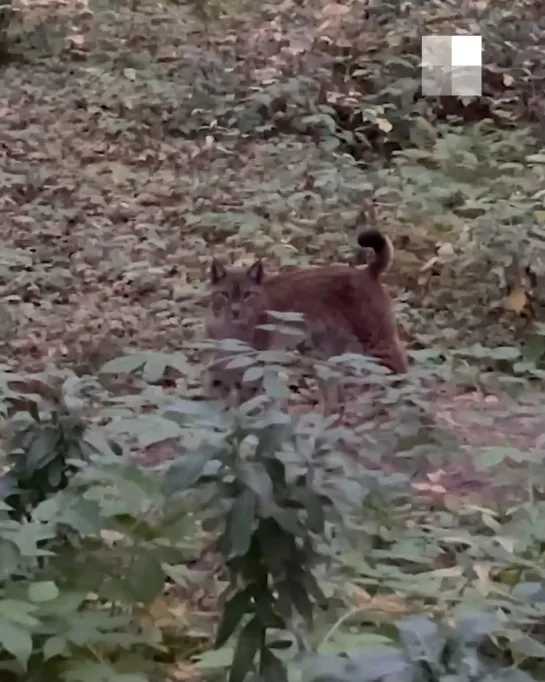 Видео от Паблик Тюмень