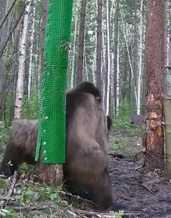 Видео от Паблик Тюмень