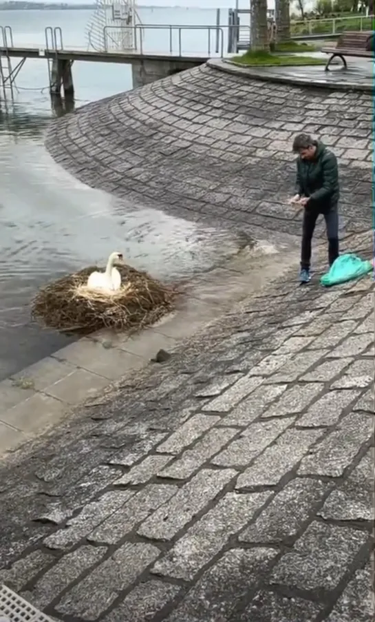 Видео от Паблик Тюмень