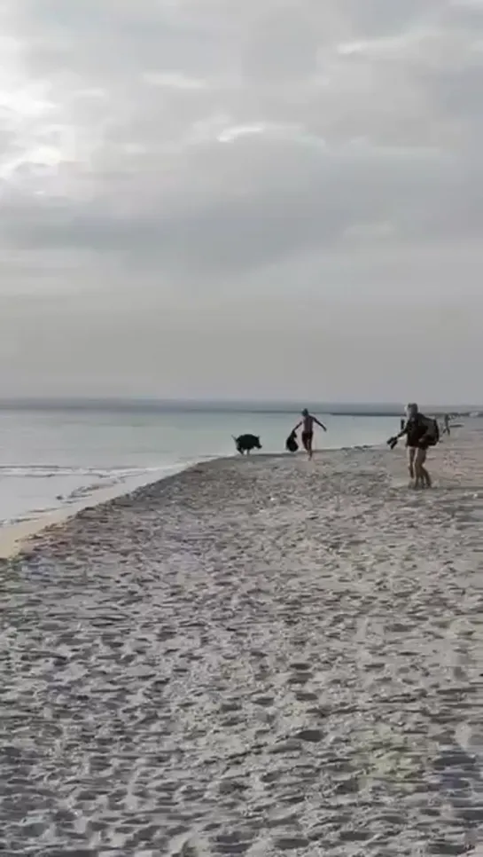 Видео от Паблик Тюмень