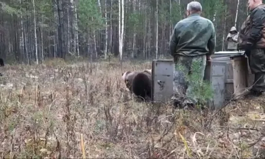 Видео от Паблик Тюмень